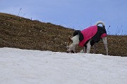 75 Un bocconcino di neve ci vuole